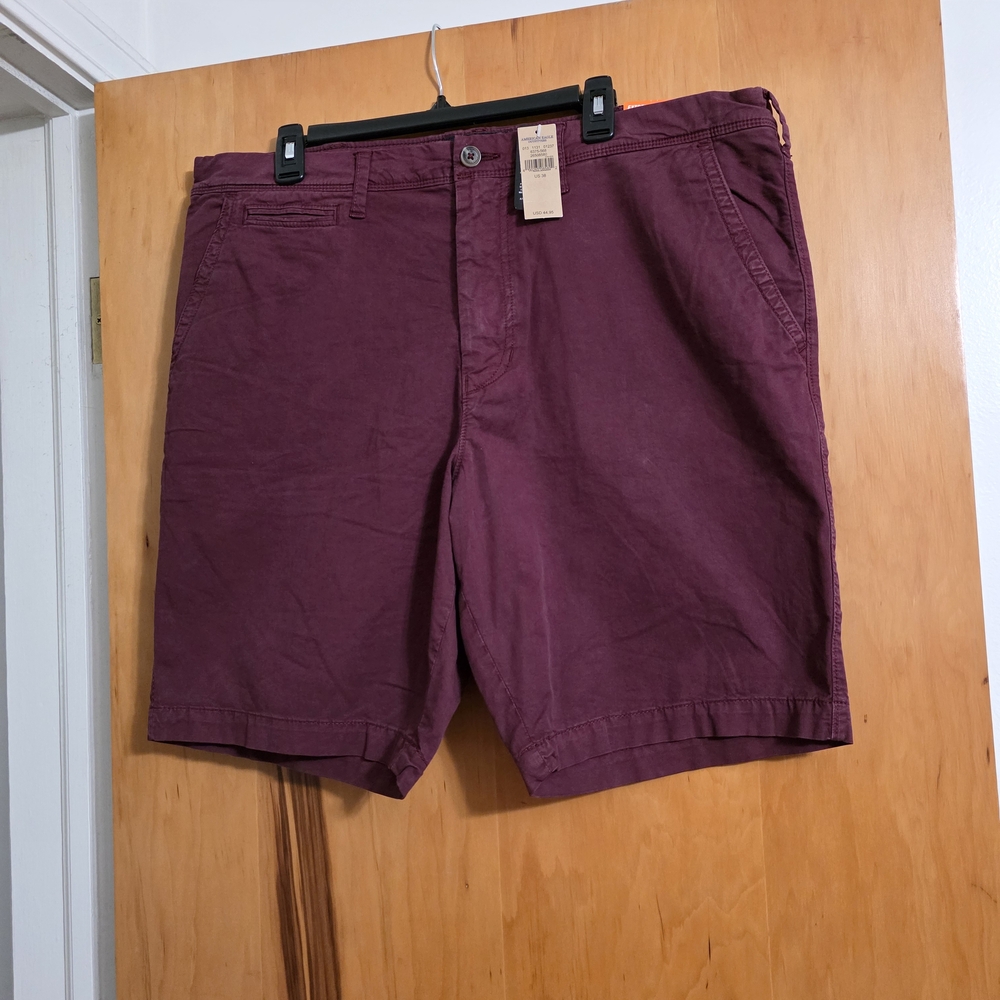American Eagle Outfitters Men's Burgundy Shorts